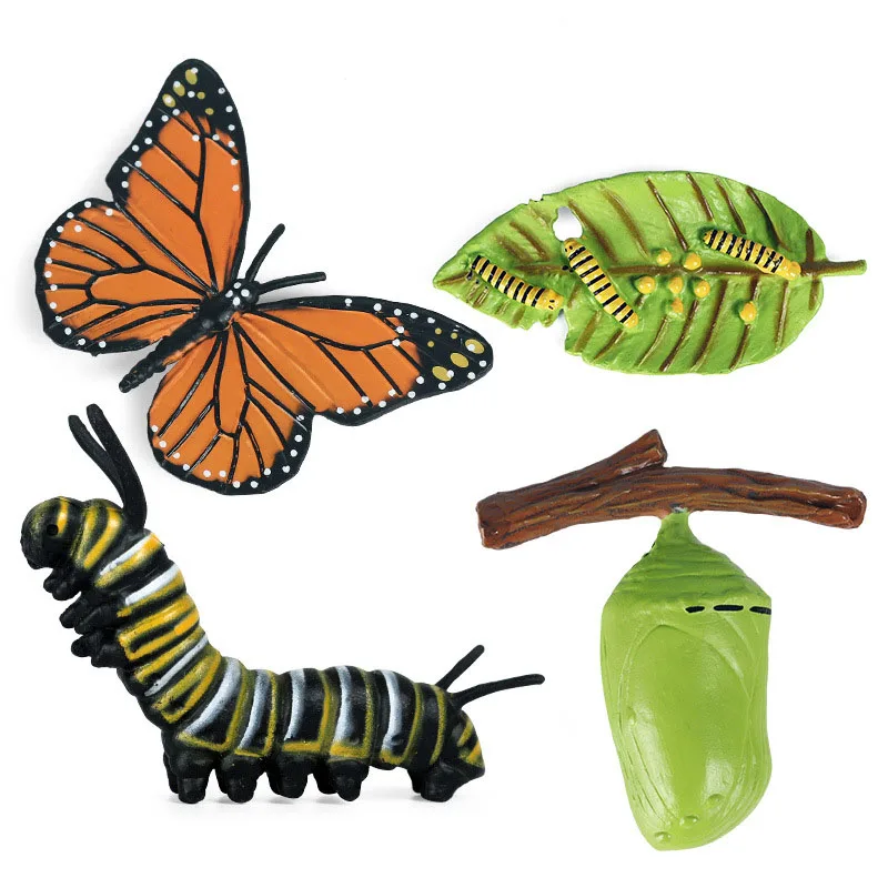 Kids Cognitive Educational Toys Simulation Animal Insect Model Mini Animal Butterfly Growth Cycle Ornaments