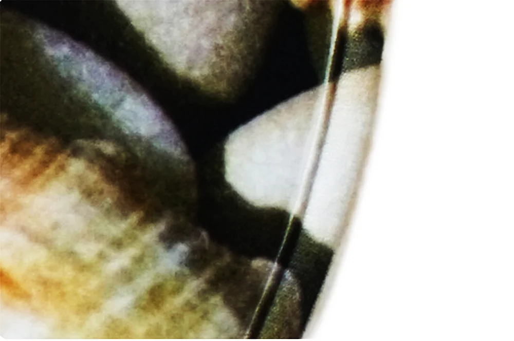 Цветочный фланелевый банный коврик набор ковров для ванной комнаты душевая