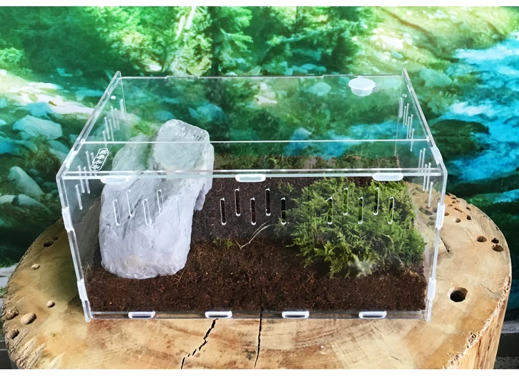 Reptile Tank Insect Spiders Tortoise Lizard Acrylic Transparent Breeding Box Vivarium Lid Reptile Pet Product Terrarium 2020 New Reptile Tank Insect Spiders Tortoise Lizard Acrylic Transparent Breeding Box Vivarium Lid Reptile Pet Product Terrarium 2020 New