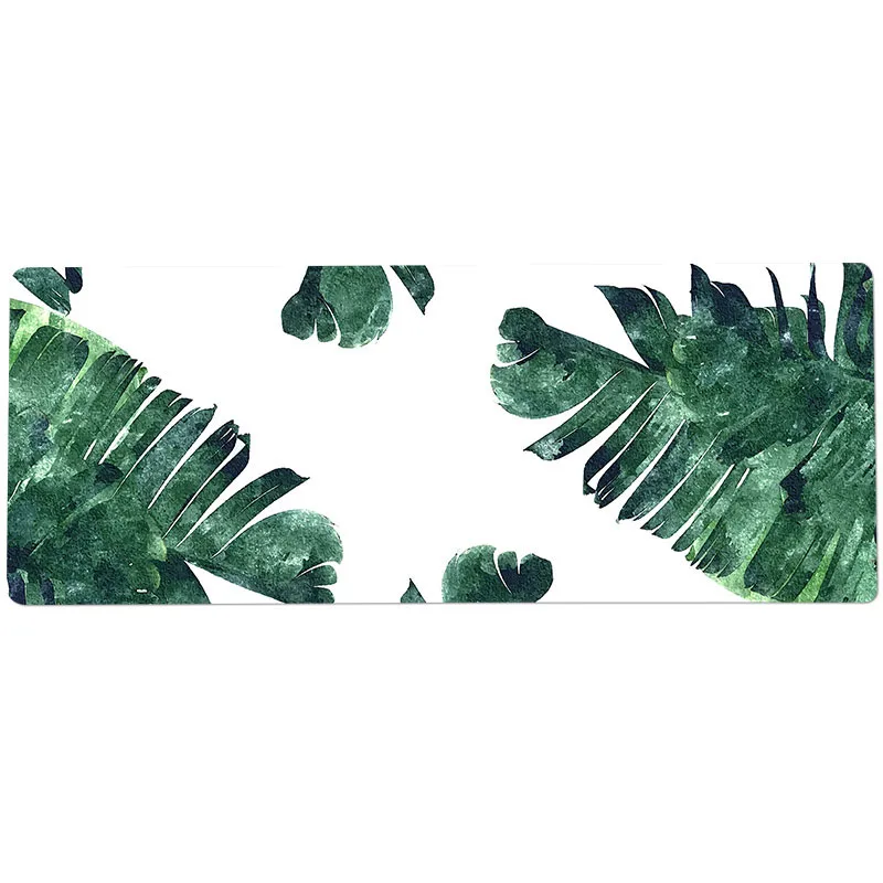 芭蕉