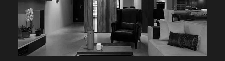 D1猫头鹰详情2_13