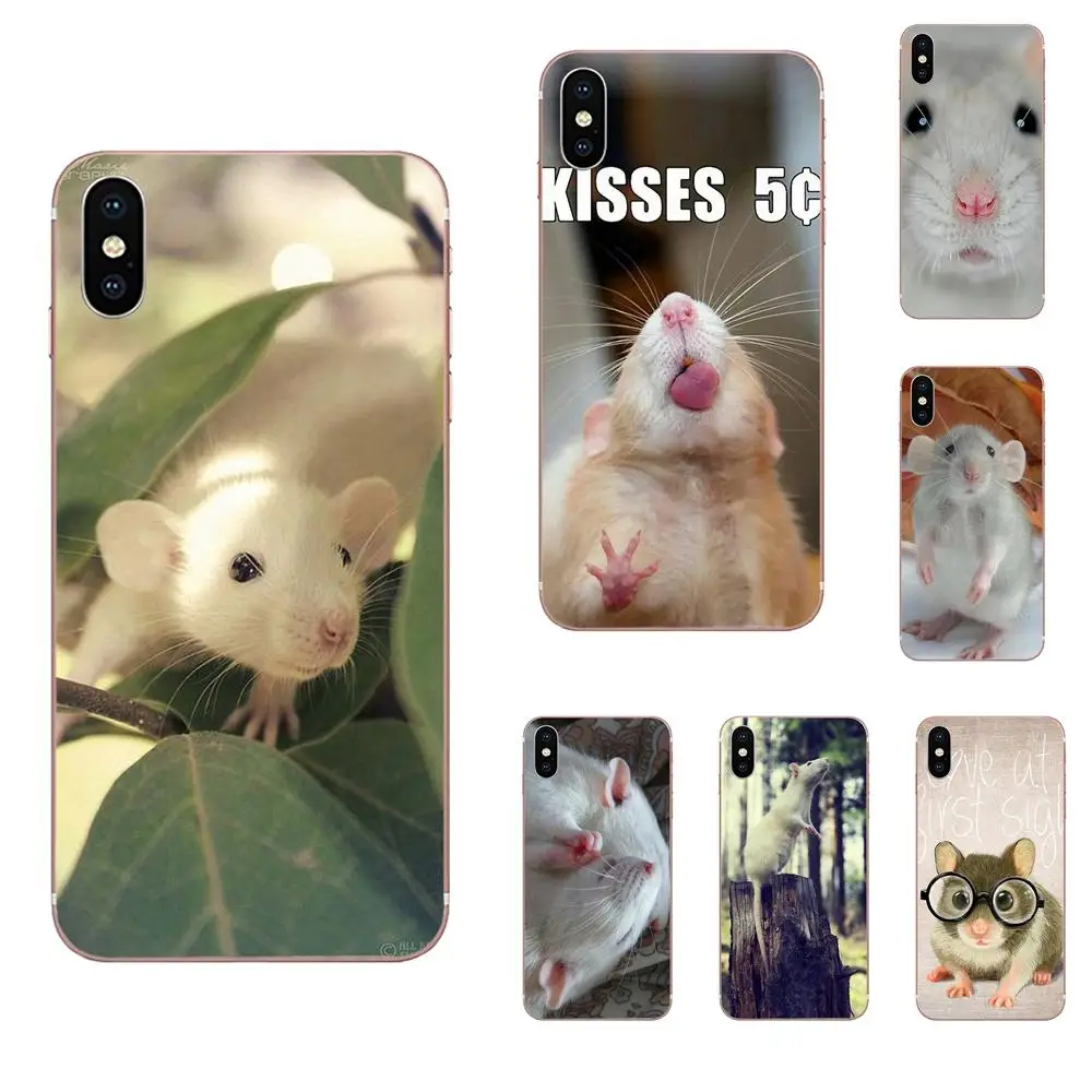 

Nice Phone Cases For Apple iPhone 4 4S 5 5C 5S SE 6 6S 7 8 Plus X XS Max XR Graffiti Rat Wearing Glasses Ist Banksy