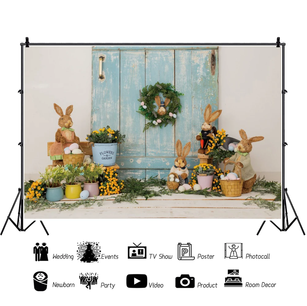 Ȱ 䳢  Photocall        Ʃ Ƽ   Photozone