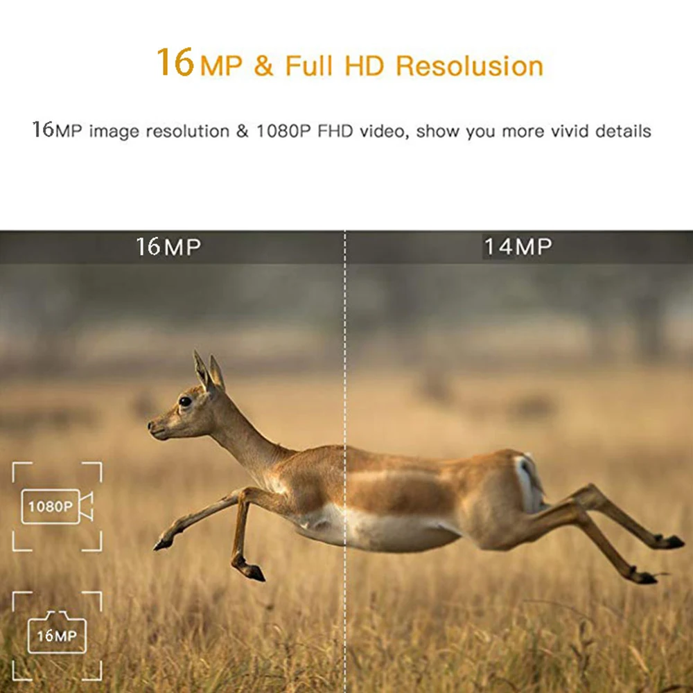 Wildlife Hunting Camera Trail Camera 3G 1080p HD 16MP IP65 Security Portable Cam Animal 20M WCDMA