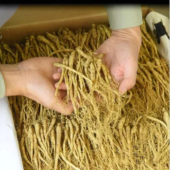 

5-6year dry ginseng changbai Mountain dry ginseng wild ginseng ginseng tea brewing wine soup tea improve immunity,anti-fatigue