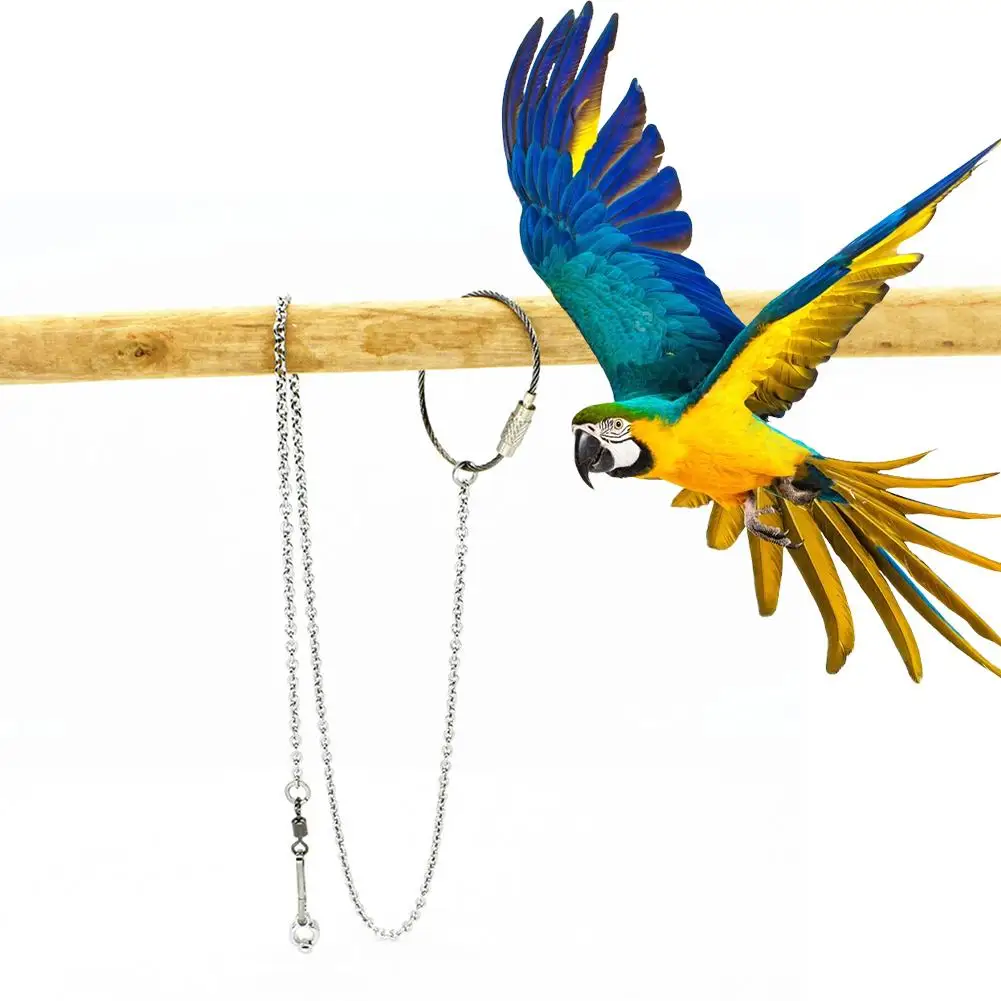 

Parrot Foot Ring Anklet Stainless Steel Bird Chain Tiger Skin Starling Peony Cockatiel Pigeon Stand Open Foot Ring Buckle New