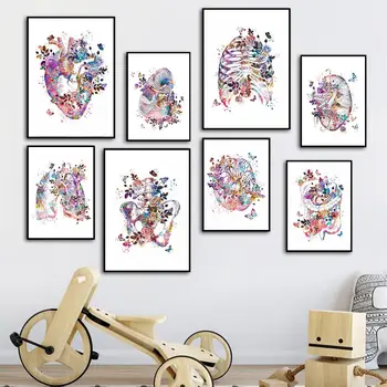 

5d DIY Brain Heart Lung Anatomy Diamond Embroidery Anatomical Organ Human Anatomy Diamond Painting Mosaic Doctors Gift Decor