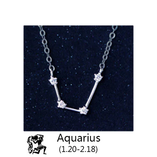 Aquarius Trusta 925 пробы Серебряное ожерелье ювелирное созвездие кулон секретный Хранитель подарок ожерелье для женщин для девочек подростков DS1339 - Окраска металла: Aquarius