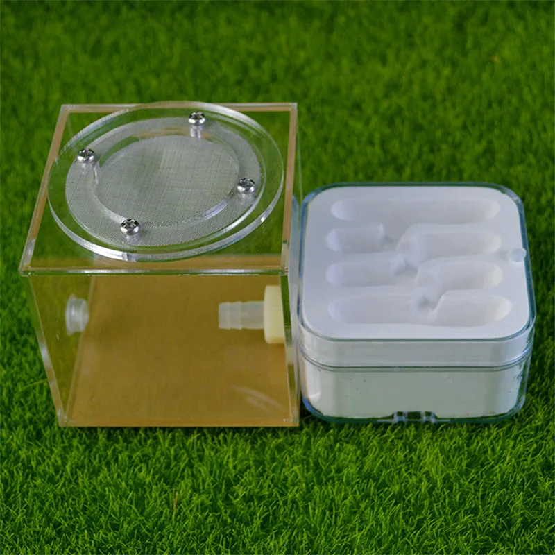 Plaster Ant Nest Acrylic Ant Farm Ants Queen House Insect Cage Anthills Pet Ant House Granja De Hormigas Hormiguero (5)