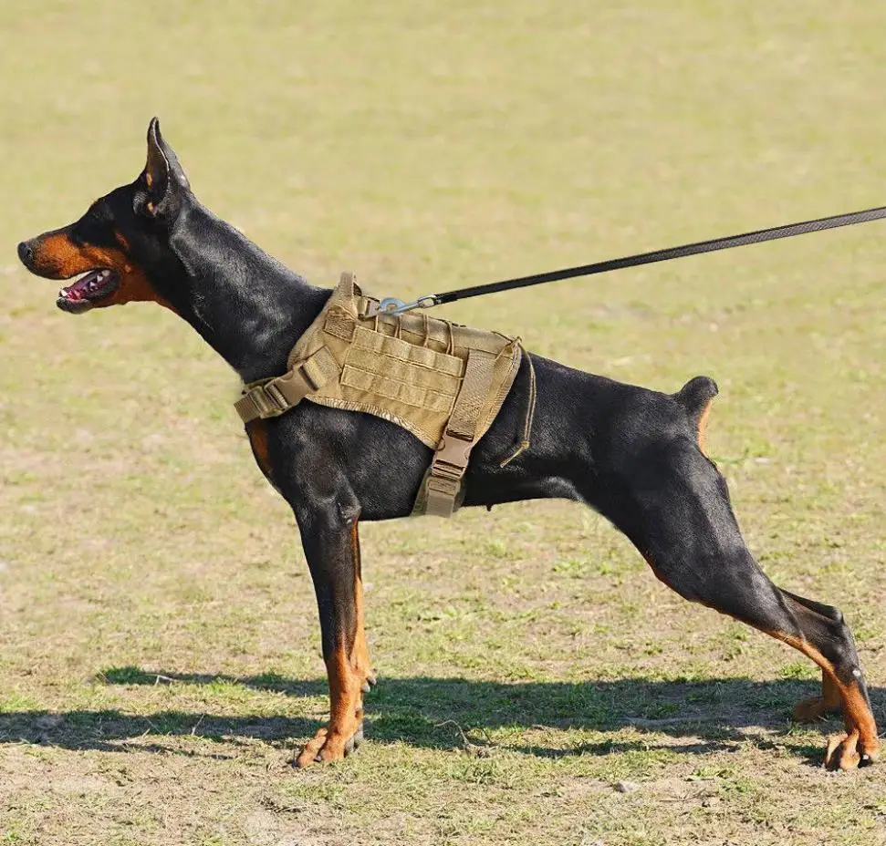 Тактический поводок для собак военный сервис жилет для собак с ручкой для обучения регулируемый Рабочий поводок для собак для больших средних собак