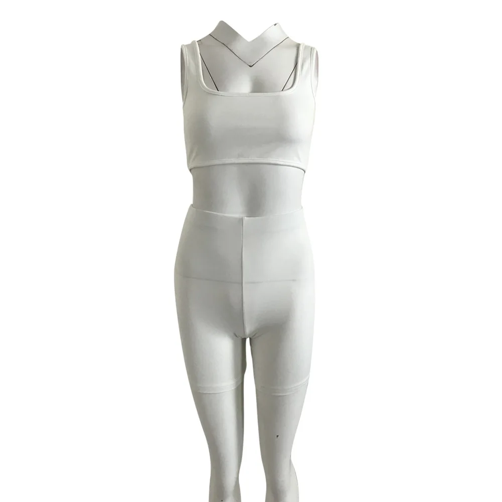 10161058708_1090338434