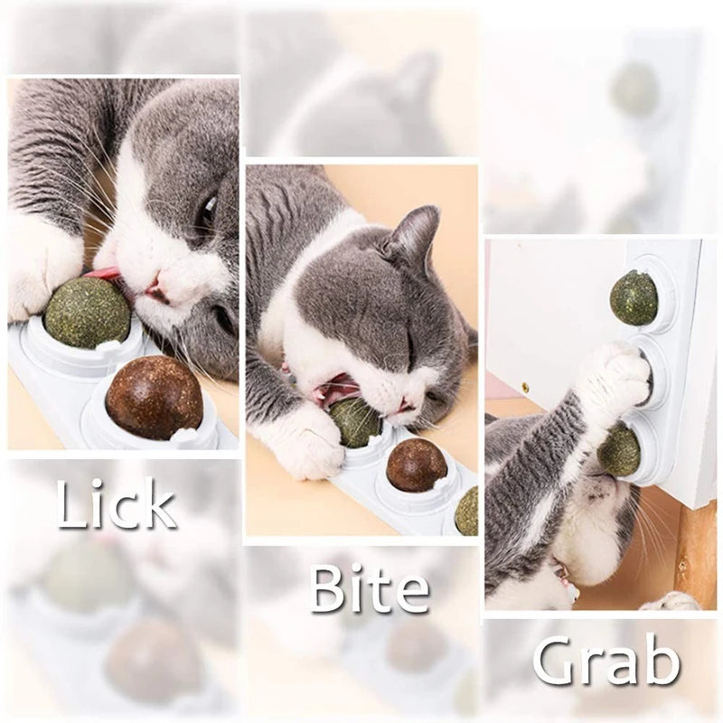 Catnip Wall Ball Toys for Cats Rotatable Snack Edible Balls Refillable Dental Treats Care Teeth Edible Licking Toys for Kitten