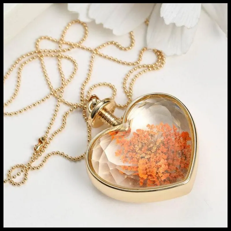 150N36 心形植物干花 15