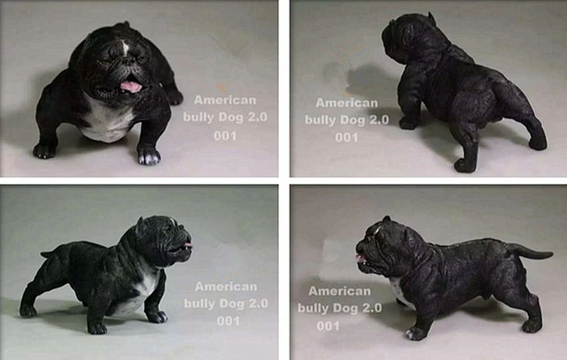 American Bully Dog 2.0 005 (Grey) 1/6 Scale Figure