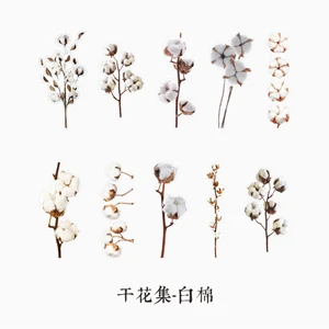 Moking Ретро винтажный тинейт Botany PET дневник стикер Скрапбукинг Украшение этикетка 1 лот = 1 упаковка = 20 шт - Цвет: 1