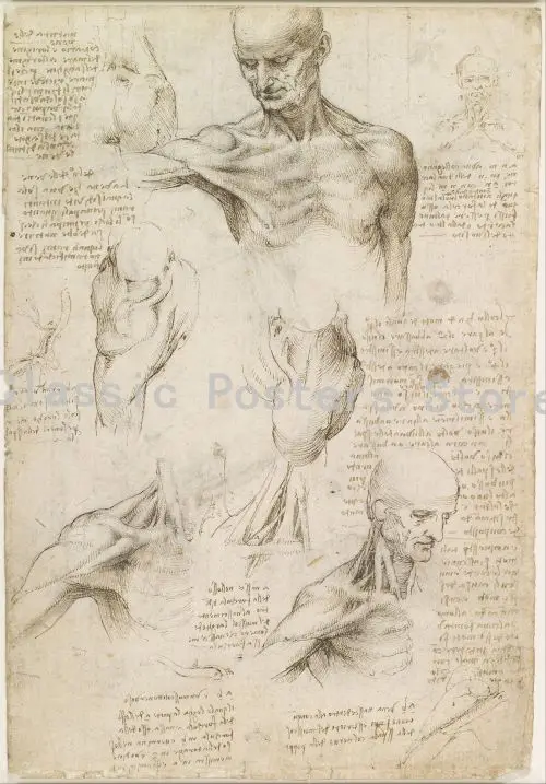 Leonardo рукопись да Винчи-витрувиан человек ностальгические плакаты декоративная Ретро картина ядро крафт-бумага ВИНТАЖНЫЙ ПЛАКАТ 6 - Цвет: 26