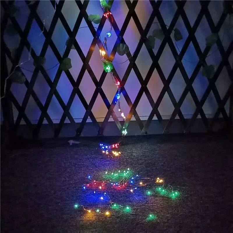 微信图片_20200805122257