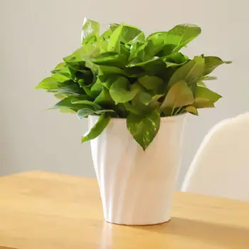 

Double Layer Wavy Design Flower Plant Pot Automatic Absorbing Water Resin Tabletopss Planter Stylish Home Decoration