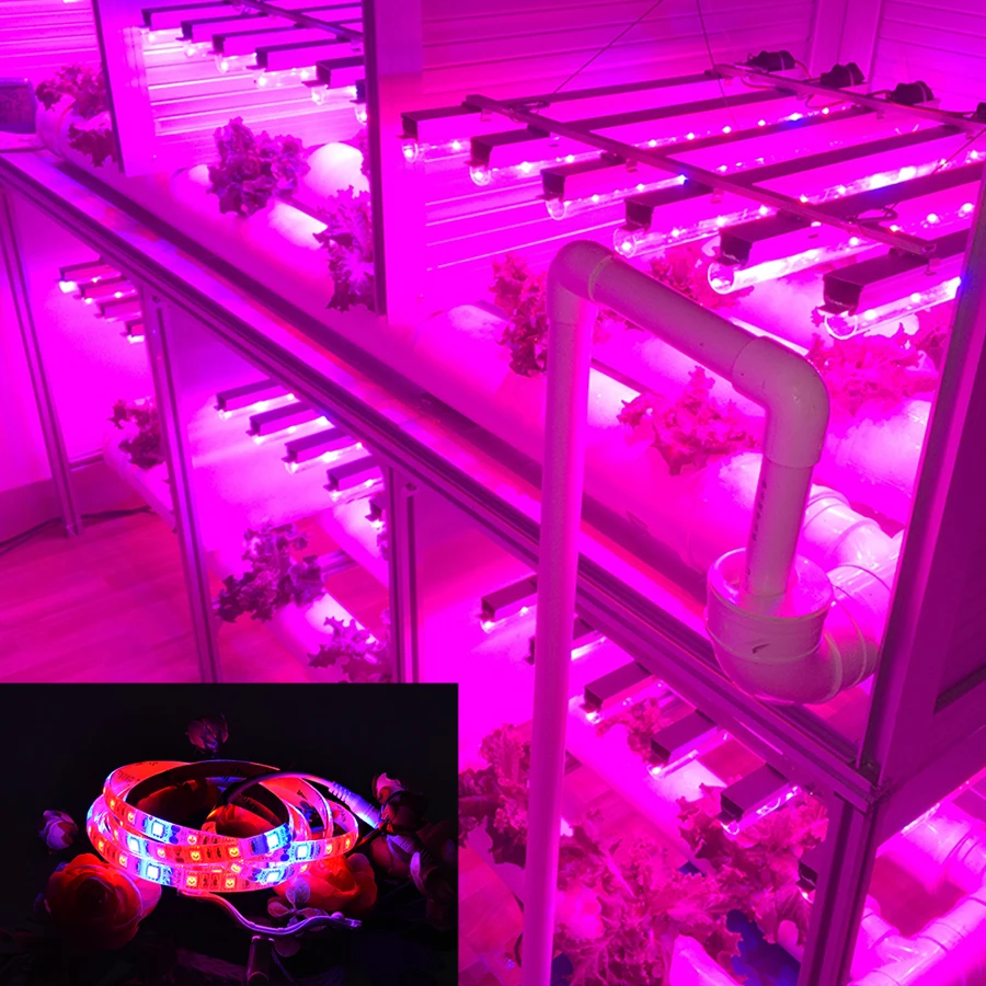 Flower Seeds Plants Grow Light 1m 2m 3m 4m 5m 12V Light Strip Phytolamp Full Spectrum for Greenhouses Hydroponics Growbox Tent