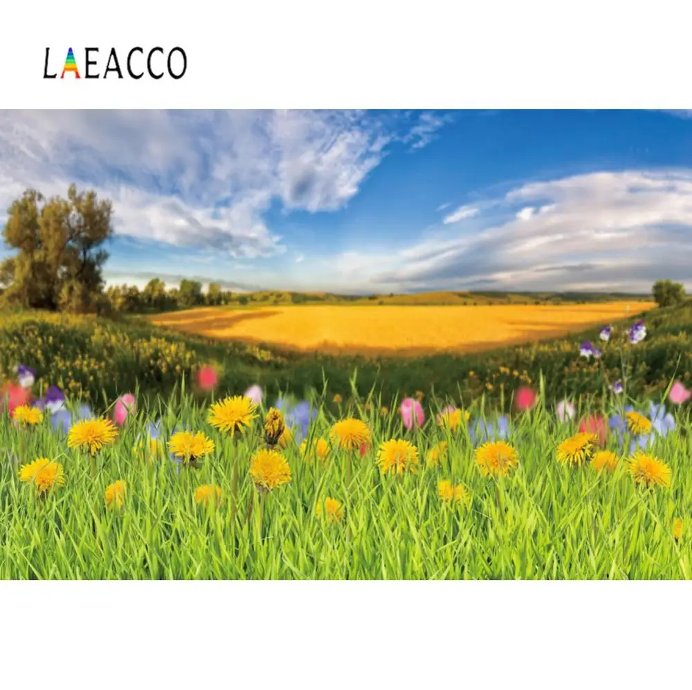 Laeacco фон Весна для фотографии зеленая трава цветы голубое небо естественный вид