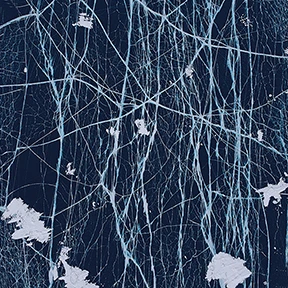 pattern 16 Мультфильм круглый складной держатель телефона расширение Стенд Ручка для huawei - Цвет: pattern 16