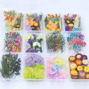 

1 Box Random Dry Flower Material Package Aromatherapy Genuine Plant Handmade Flower Material Manufacturing Process Accessories