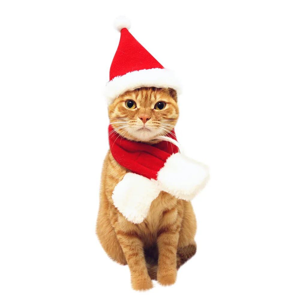 Шляпа для домашних животных, кошек, собак, красный шарф, Рождественский праздничный костюм, комплект одежды для маленьких животных, Рождественский коралловый бархатный нагрудник, новинка* F22