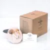 Home Storage 