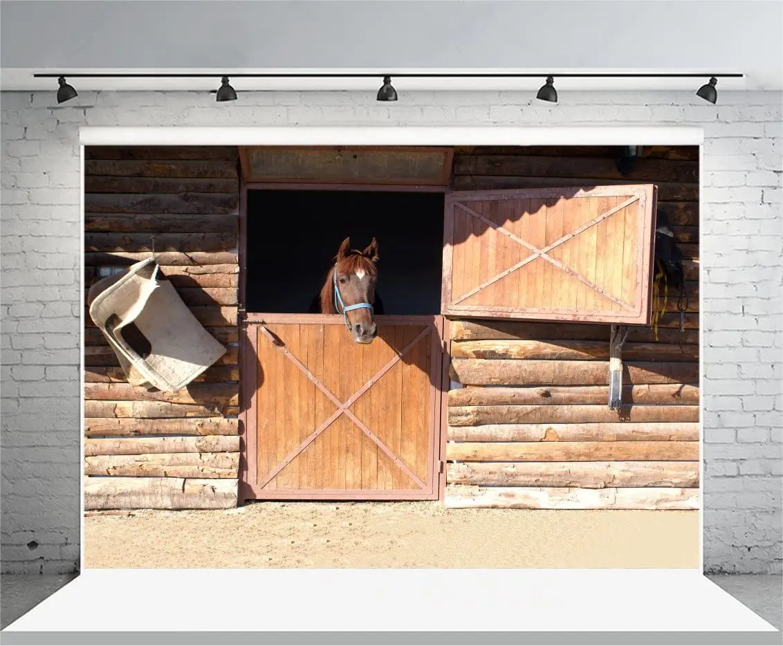 Barn Horse Photography Background Western Cowboy Vintage Farm Wood Animal Corral Photo Background Herdsmen Ritratti Family Party