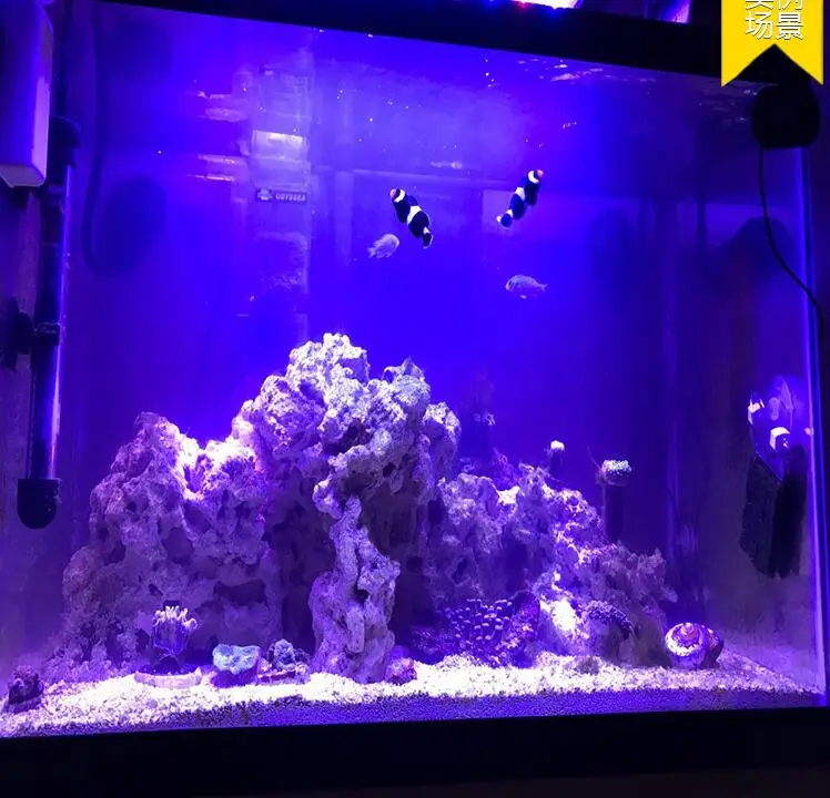 鱼缸消毒杀菌灯25