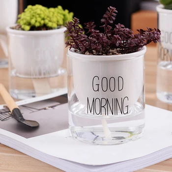 

Ceramic glass combination flower pot for horticulture