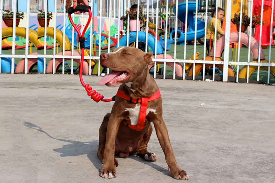 TB2UMnWi4lmpuFjSZPfXXc9iXXa_!!555080699副本