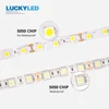 LED Lighting
