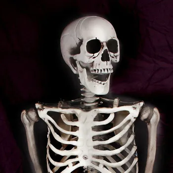 

Halloween Skeleton 90cm Scary Bones Props Hanging Haunted House Decoration TB Sale