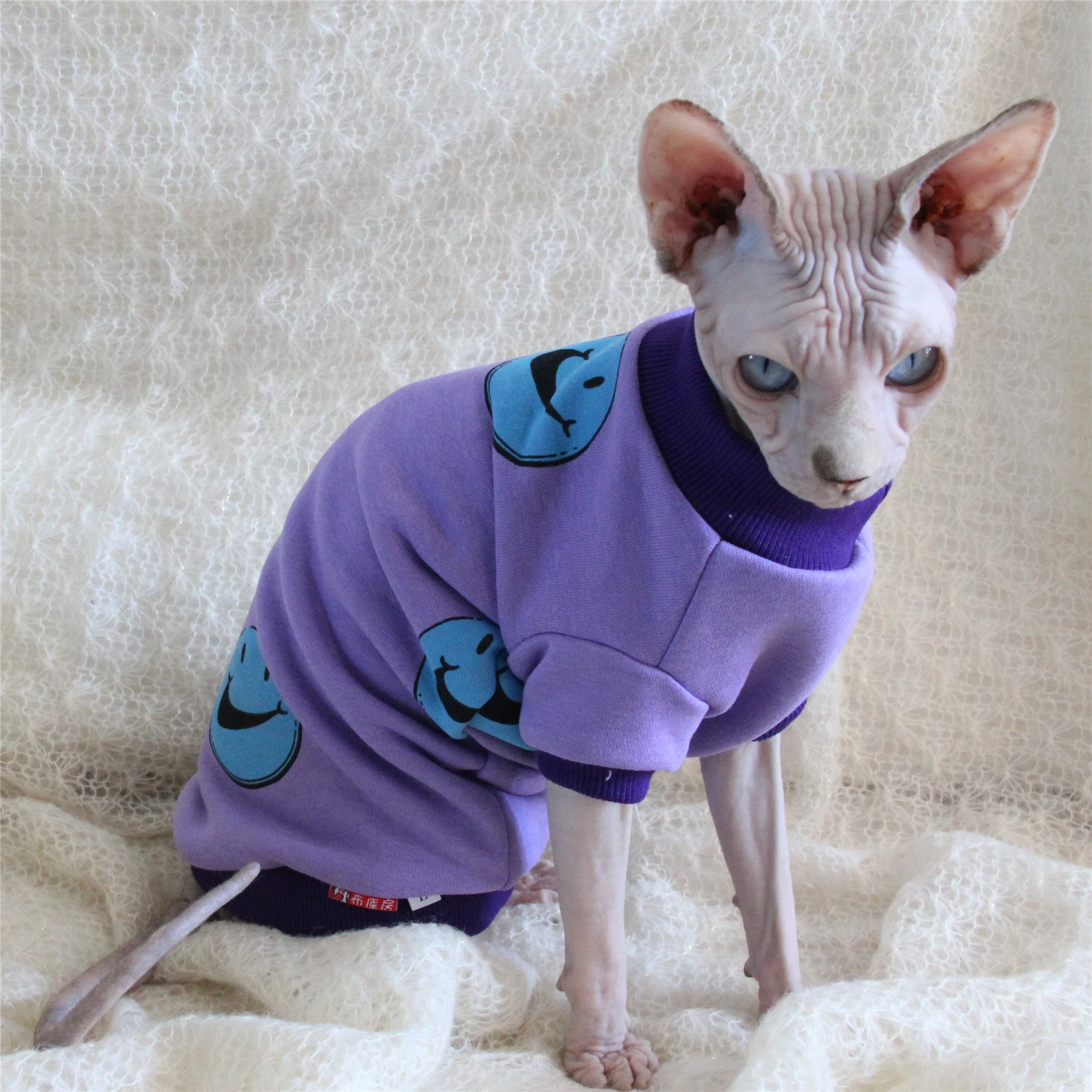 sphynx cat outfits