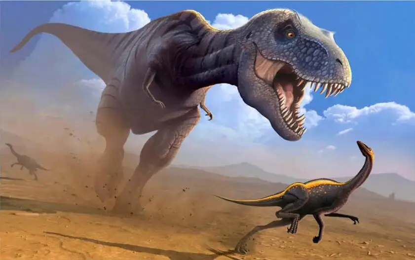 QQ截图20191229114400