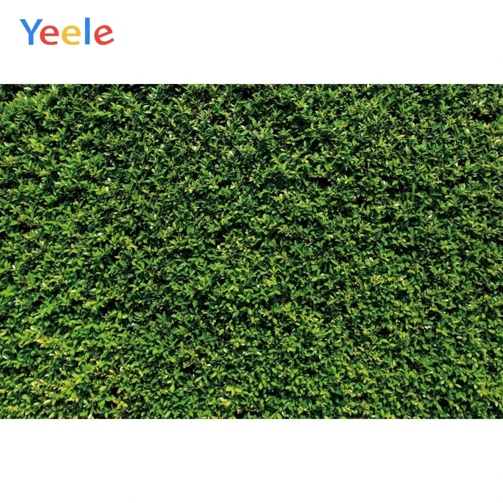 Yeele трава зеленый экран листва листья Вечерние Декорации фотографии фоны индивидуальные фотографические фоны для фотостудии
