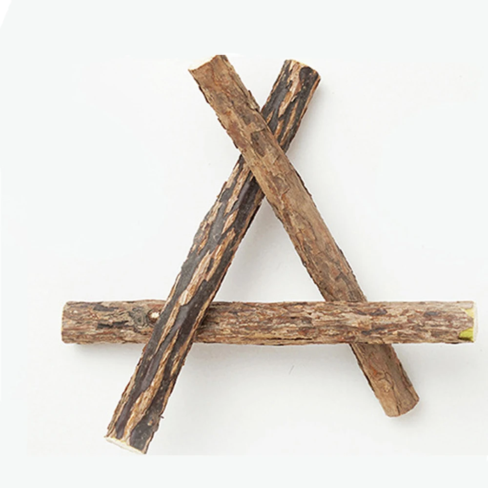 3510pcs Natural Catnip Pet Cat Molar Toothpaste Stick Matatabi Actinidia Fruit Silvervine Cat Snacks Sticks Pet Cleaning Teeth (8)