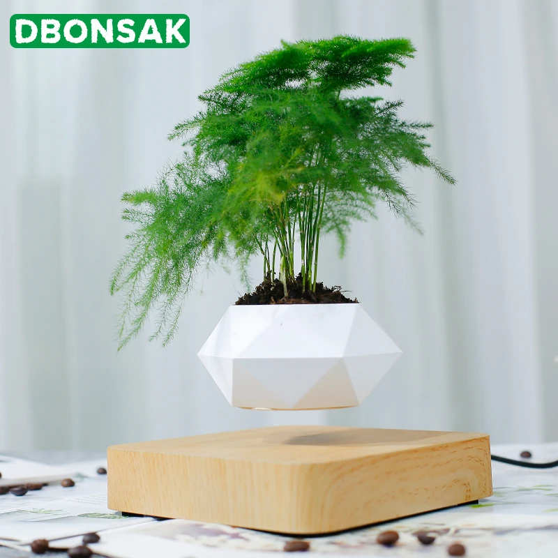 Levitating Air Bonsai Pot Magnetic Levitation Plants Planter Flower Pots Potted Succulent Plant Hom