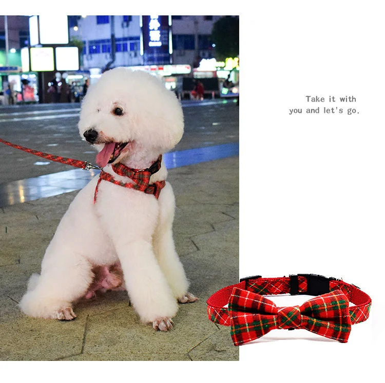 10339740414_1026663116