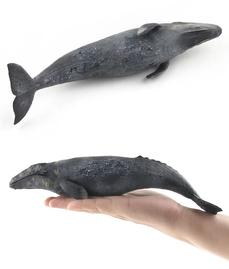 

1PC 26.5CM Big Ocean Sea Animal Grey Whale Models Children Simulational Toys Gifts Collections DIY