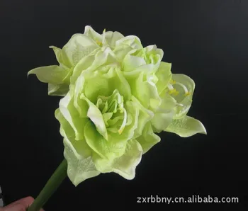 

Amaryllis Festive Supplies Model Flower Arrangement Material ha pai