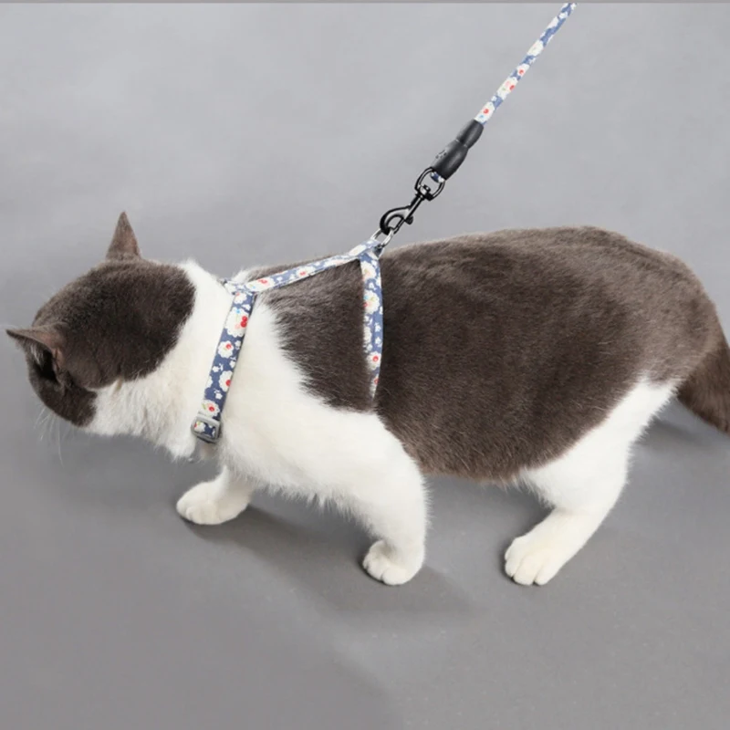 Puppy Cat Harness And Leash Set For Walking, Escape Proof Leash Adjustable Soft Vest Harnesses with leash set