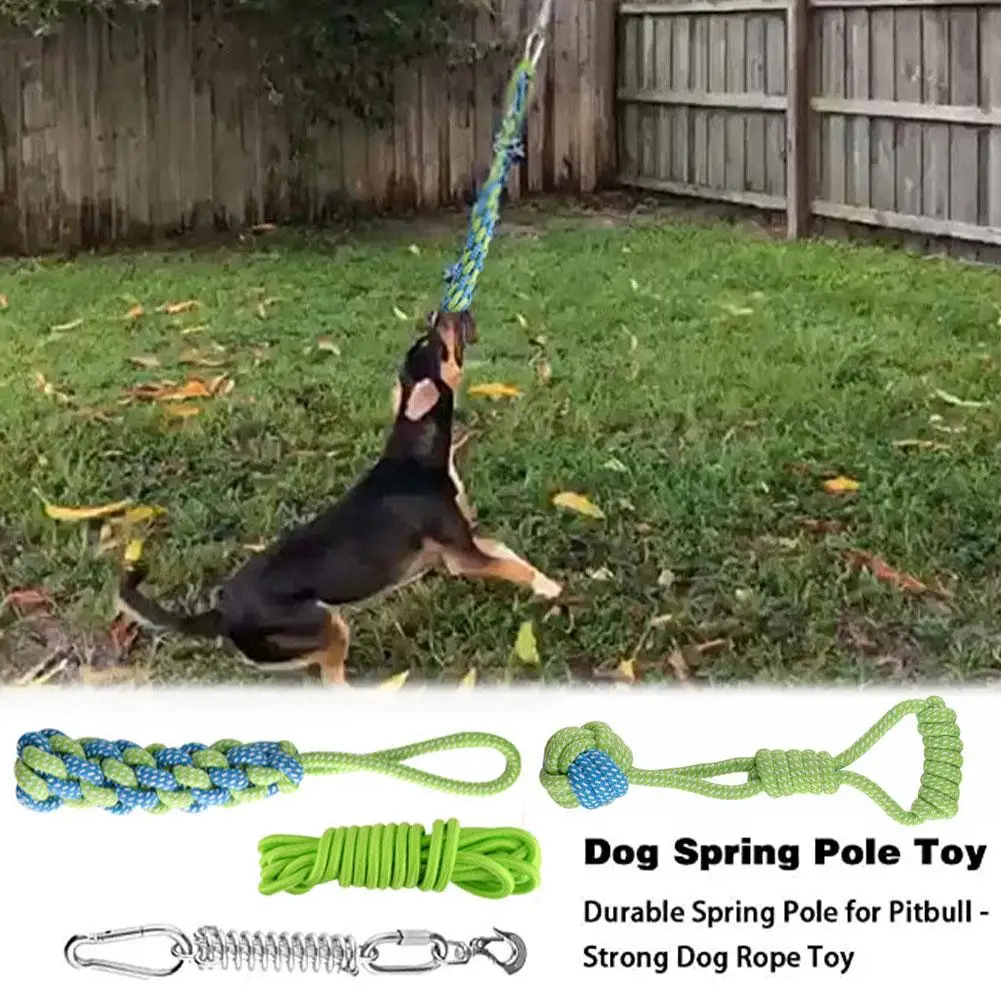 how to make a spring pole for a dog