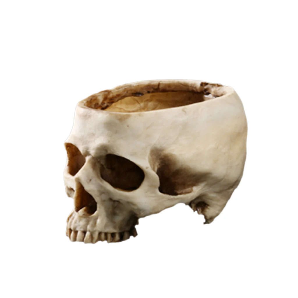 Resin Replica Human Skull Bar Prop Flower Plant Container Bonsai Pot Bed Planter