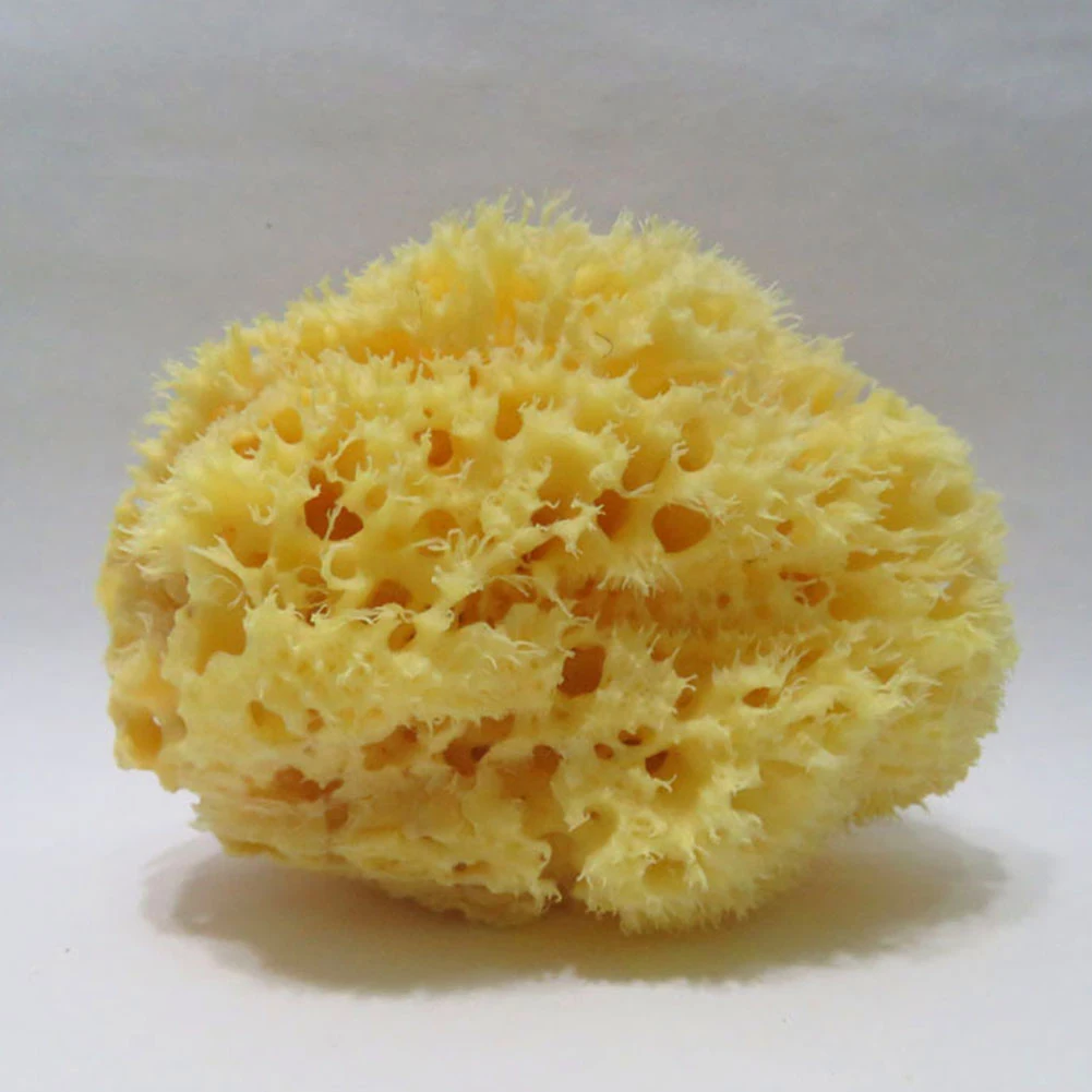 Cleaning Brushes Cleaner Sponges Scouring Pads Wash Face Seaweed Bath Brushes Natural Ocean Sea Sponge Spa Shower Tools