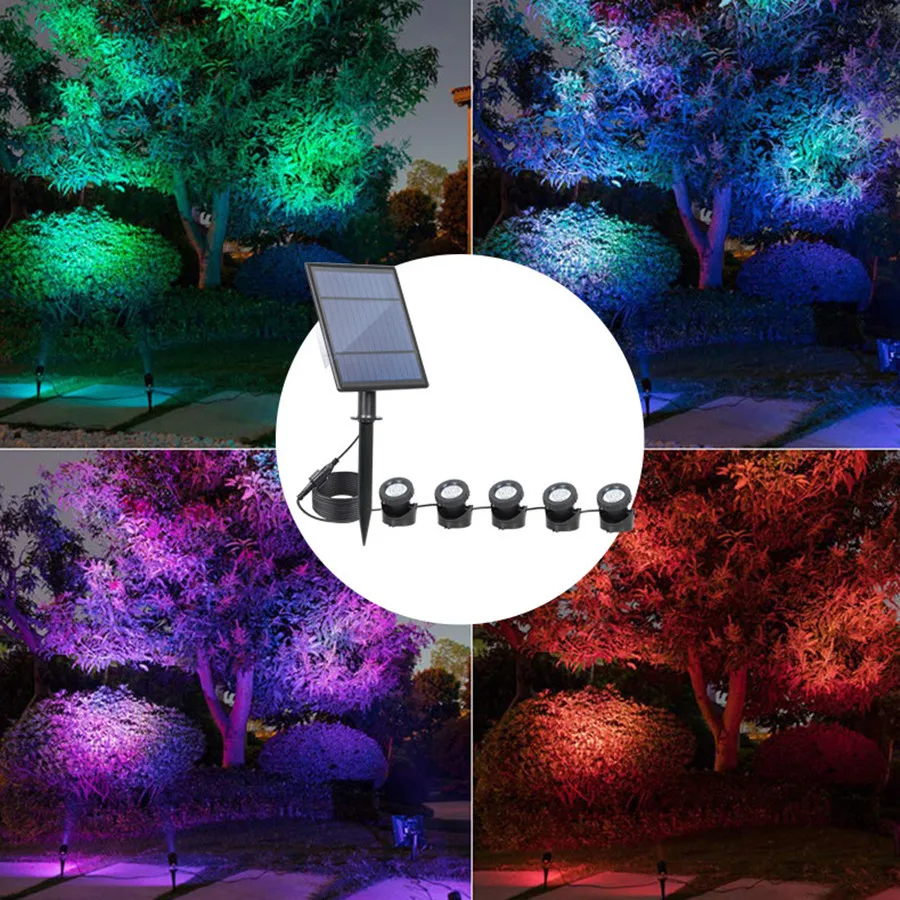 11049972656_1789962071