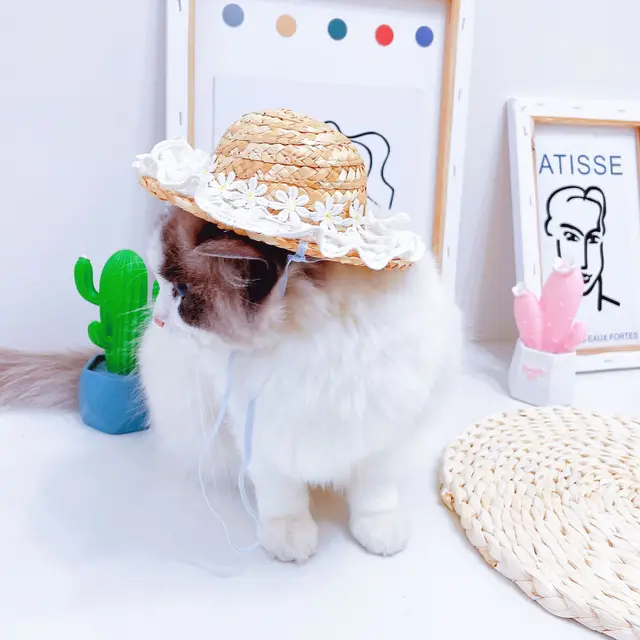 Cat Dog Straw Hat – Sugar Pet Shop