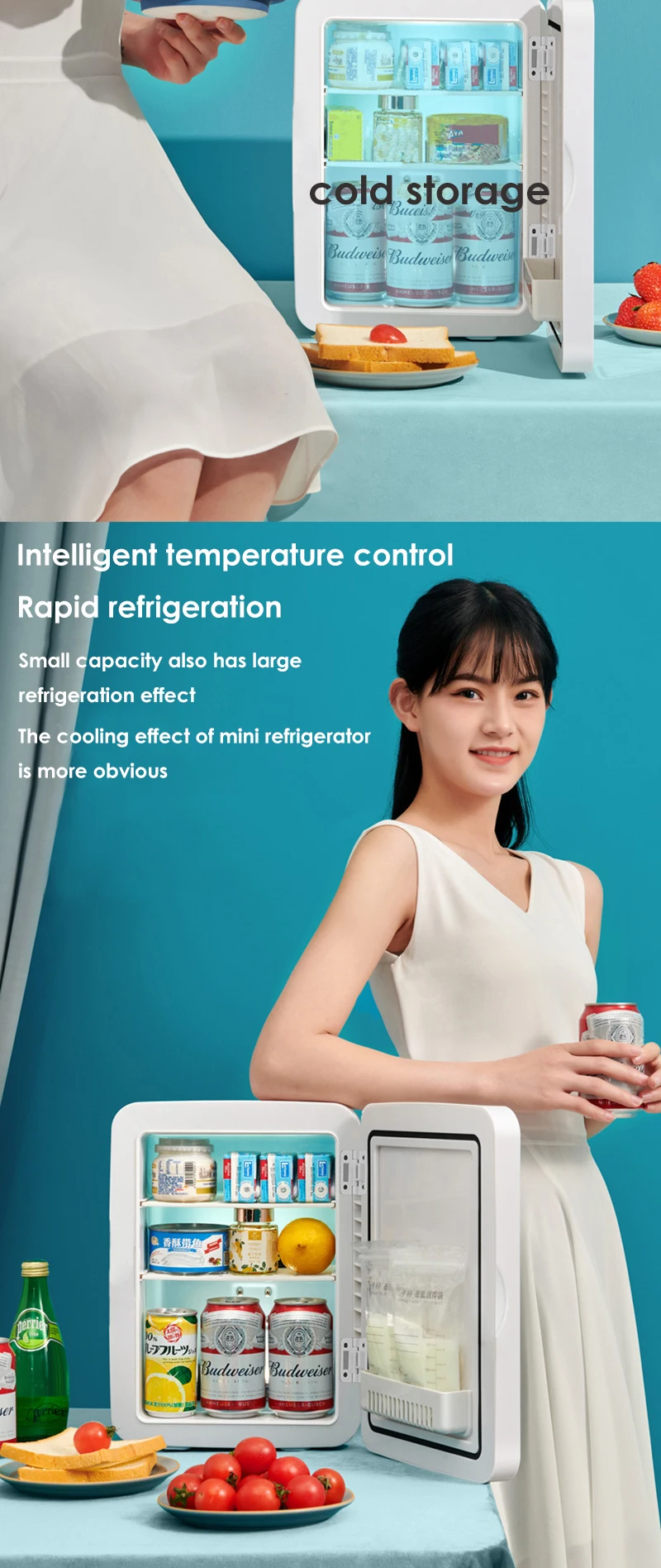 5L Mini Fridge Portable Storage Refrigerator With Led Light Mirror Cooler Home Car Use