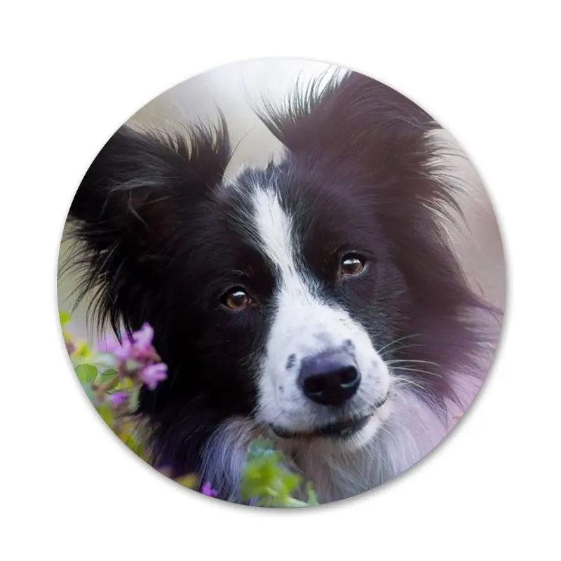 border collie dog Badge Brooch Pin Accessories For Clothes